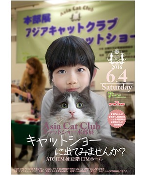 Asia Cat Club キャットショー本部展 2016