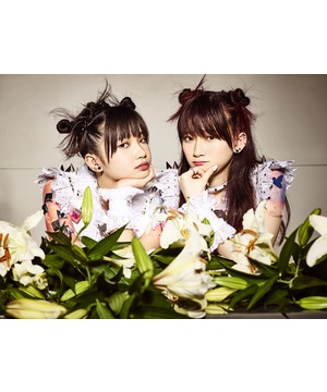 The Idol Formerly Known As LADYBABY 