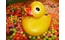 �݂�ȂŗV�ڂ��I�����L��ɏW�܂�`���