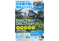 INSECT DISCOVERY 2024`{ő勉̍!!`