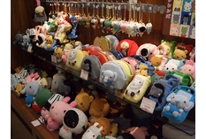 注目商品