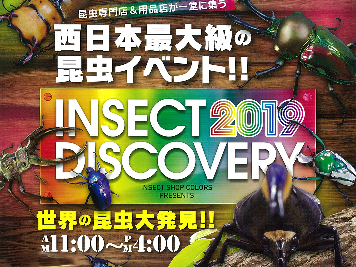 INSECT DISCOVERY 2019