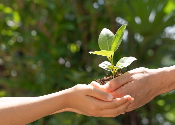 環境における取り組み