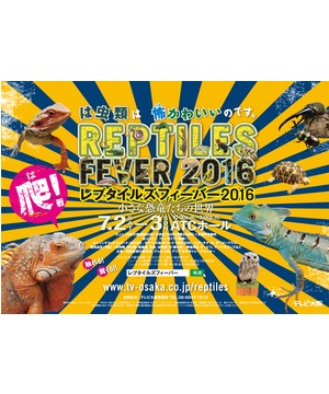 レプタイルズフィーバー2016 ～小さな恐竜たちの世界～