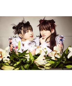 The Idol Formerly Known As LADYBABY