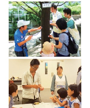 夏休みの自由研究　おおさか環境科