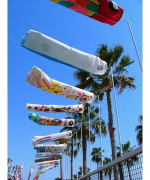 空に泳がせようボクのこいのぼり