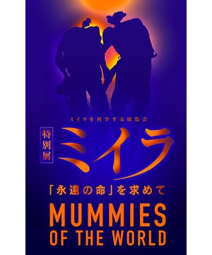 特別展 ミイラ 「永遠の命」を求めて