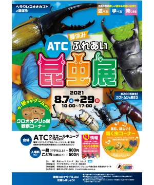 夏休み ふれあい昆虫展