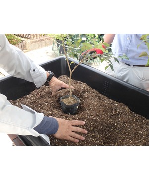 【木を植える体験をしてみよう 】～咲洲こども EXPO2021～
