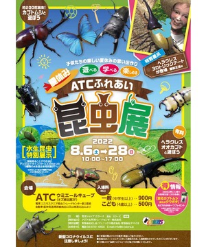 夏休み ふれあい昆虫展