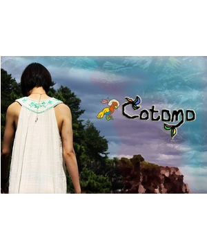 cotomo 2011年春デビュー記念ライブ