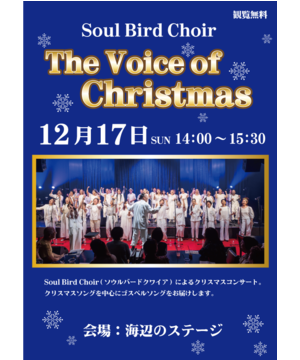 Soul Bird Choir “The Voice of Christmas”