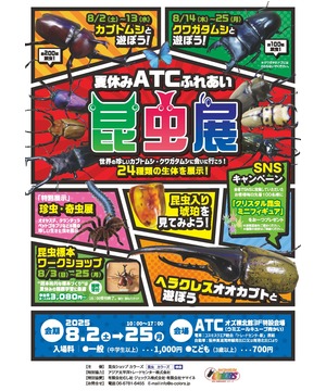 夏休み ATCふれあい昆虫展
