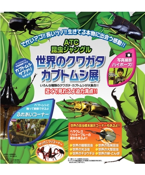 世界のクワガタ　カブトムシ展