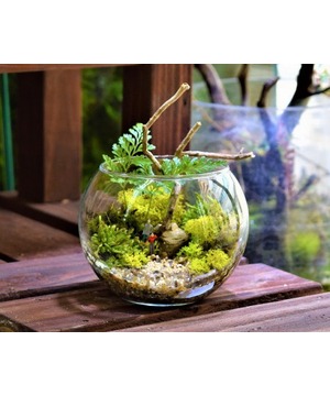 ゴールデンウィーク・IHPCものづくりワークショップ「コケリウムづくり」