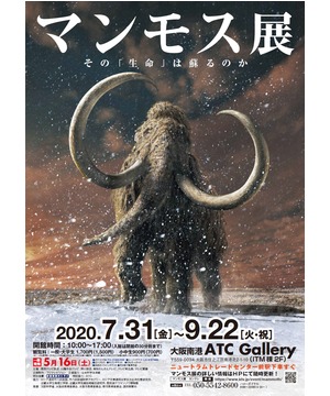 マンモス展 チケット4枚