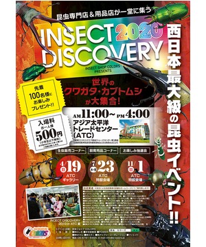 INSECT DISCOVERY 2020