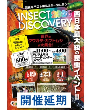 【開催延期】 INSECT DISCOVERY 2020