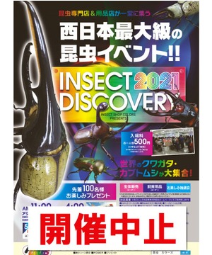 【開催中止】INSECT DISCOVERY 2021