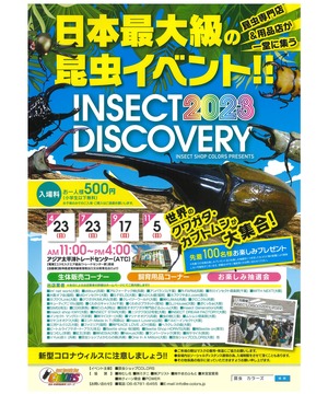 INSECT DISCOVERY 2023～日本最大級の昆虫イベント!!～