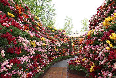 富山県 砺波市観光PR