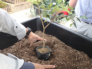 TEAM KIOUETAIのチャレンジ「木を植える体験」をしてみよう！