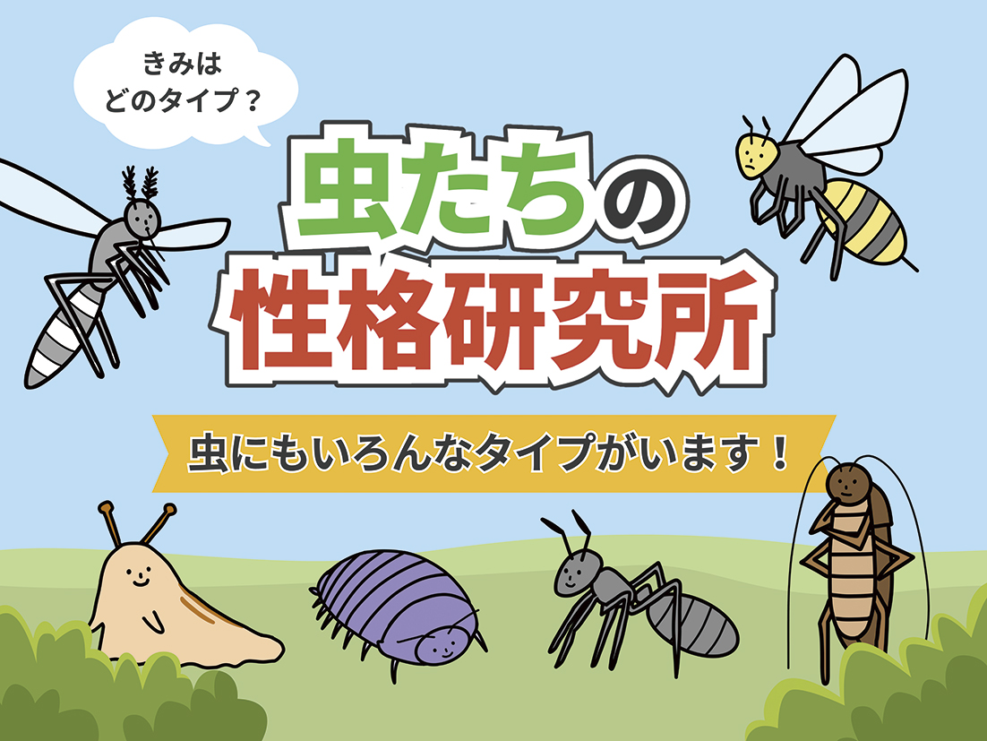 知れば知るほど面白い! 虫たちの性格研究所 ～虫にもいろんなタイプがいます!～