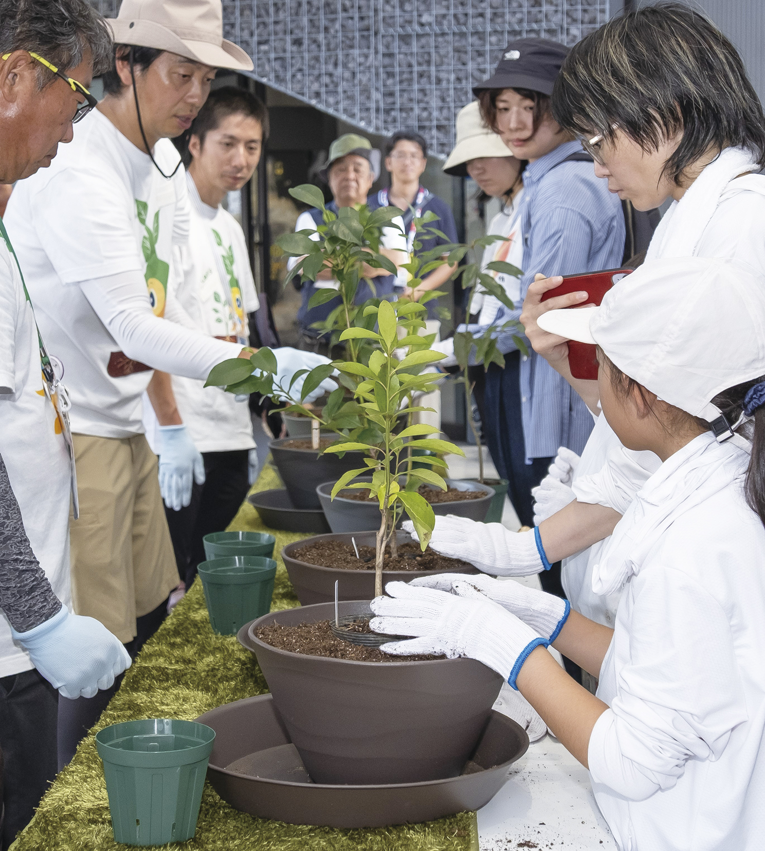 めざせ!苗木が喜ぶ植樹マスター