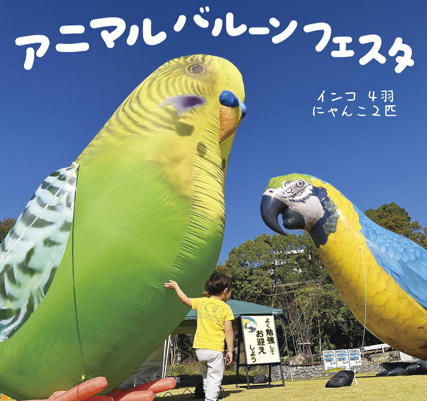 インコバルーンで、どうぶつあいご!